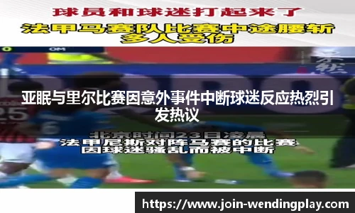 亚眠与里尔比赛因意外事件中断球迷反应热烈引发热议