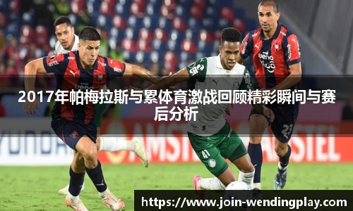 2017年帕梅拉斯与累体育激战回顾精彩瞬间与赛后分析