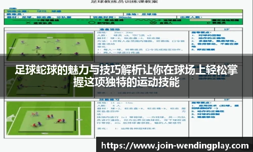 足球蛇球的魅力与技巧解析让你在球场上轻松掌握这项独特的运动技能